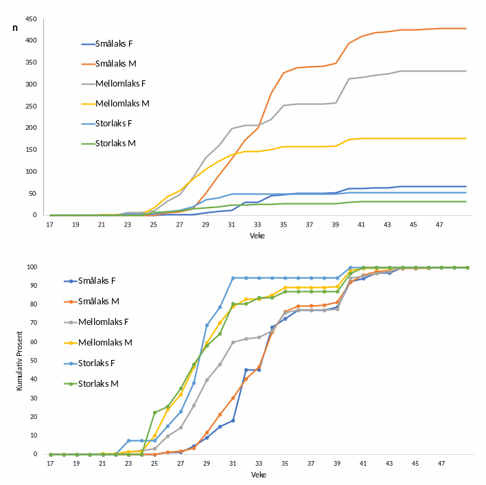 Øverst: Kumulativ oppvandring av villaks i 2023 fordelt på kjønn og storleiksgrupper (F=Hofisk, M=Hannfisk), absolutt tall (øvesrt) og prosentvis (nederst).