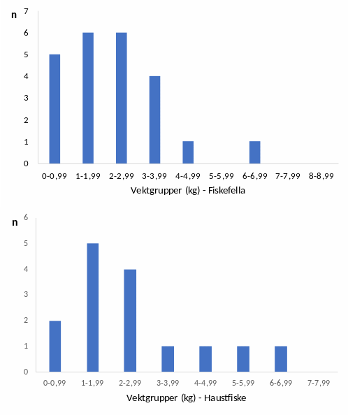 Vektfordeling hos rømt oppdrettslaks fanga på fella (øverst) og i haustfisket (nederst) i 2023. Size distribution of farmed escapees captured in the trap (upper) and in the autumn angling (lower) in 2023.
