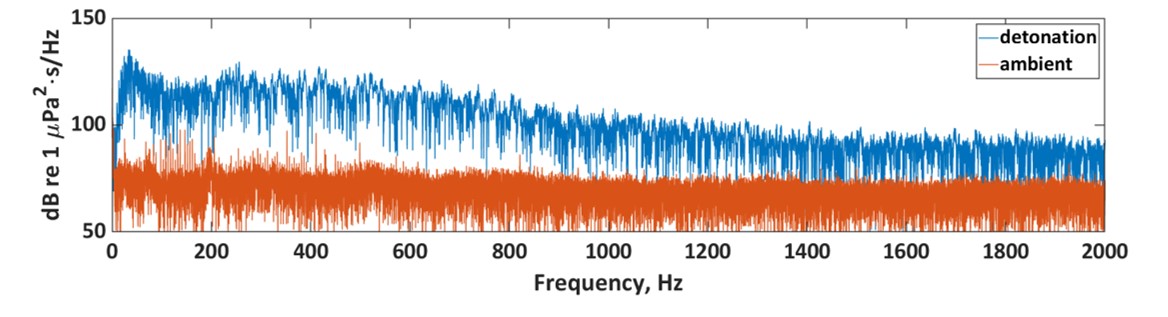 Blålinje i plottet viser at lyden under sprenging er betydelig og kraftigst ved lave frekvenser, mens rød linje ligger betydelig lavere på skalaen da denne representerer kun bakgrunnsstøy.