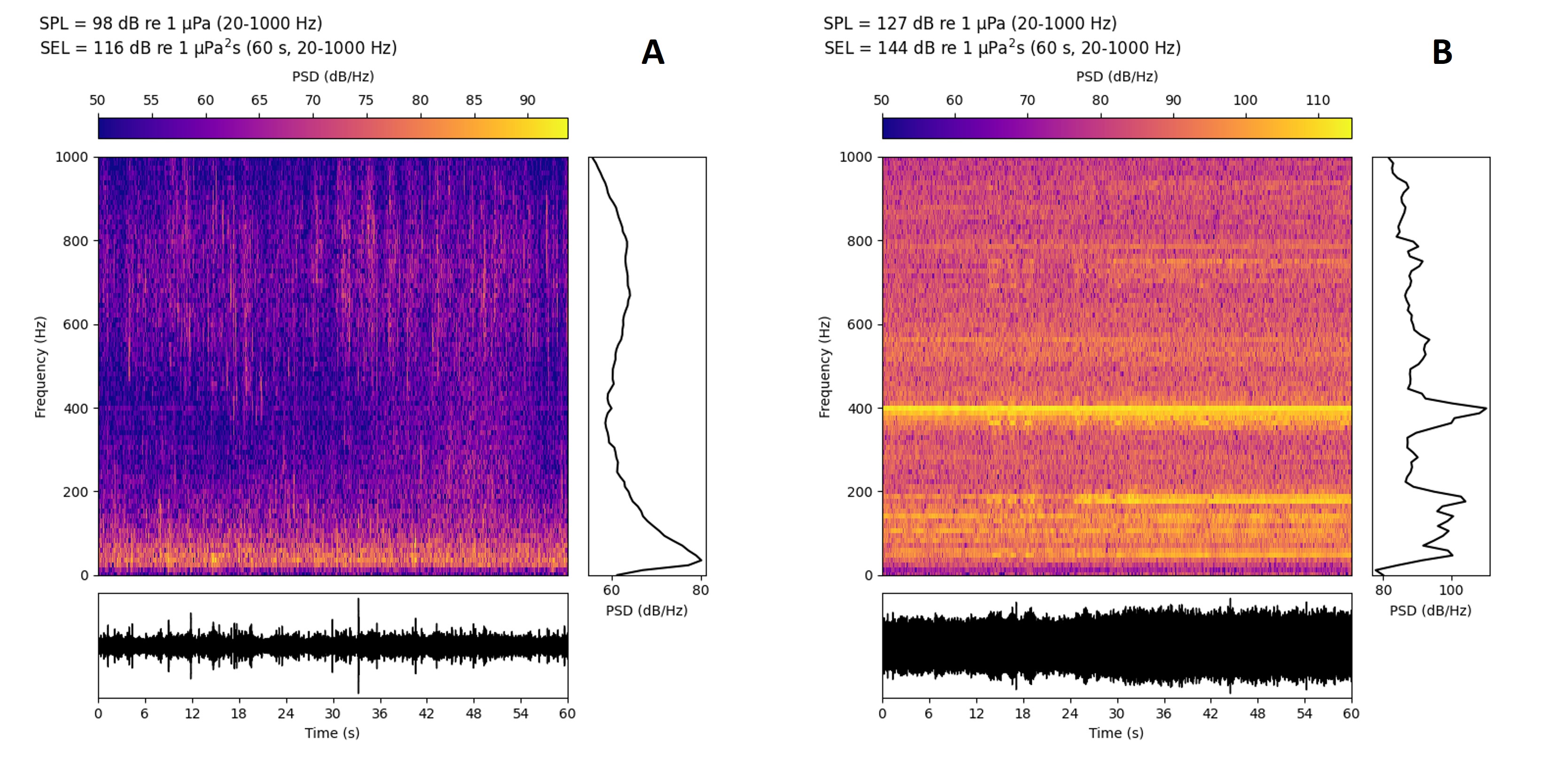 To plott som har ulike farger som viser lydstyrken fra mørk lilla, via oransje til lys gul ved ulike frekvenser over tid. I venstre figur viser det lilla området at det er lite lyd om natten, men noe lyd på lave frekvenser. Høyre figur viser kraftigere farger som illustrerer lyd fra en brønnbåt ved merden. Høyre paneler viser en svart bølgete linje som indikerer gjennomsnitt av lyden over de ulike frekvenser hvor det er mest lyd i det lavfrekvente området om natten og mer fordelt på flere frekvenser og frekvenstopper med brønnbåt tilstede. Underpaneler viser en bølgeformet svart, linje med utslag opp og ned som indikasjon av lydens variasjon i styrke over tid hvor det om natten er lave utslag, mens brønnbåten er støyende med store, kontinuerlige utslag.