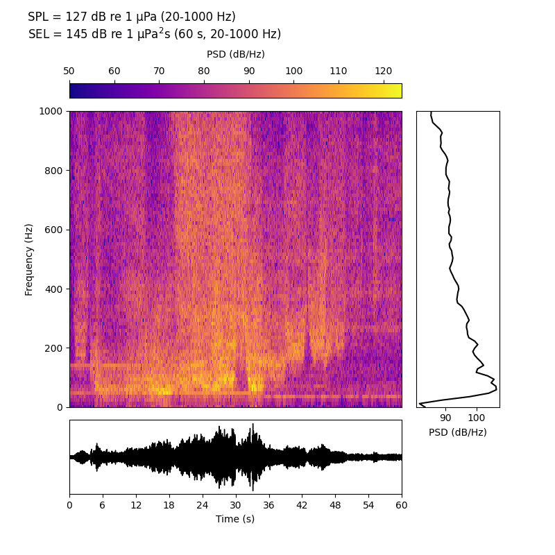 Et plott som har ulike farger som viser lydstyrken fra mørk lilla, via oransje til lys gul ved ulike frekvenser over tid. Det variable gule området indikerer når en arbeidsbåt endrer gir og turtall. Høyre panel viser en svart bølgete linje som indikerer gjennomsnitt av lyden over de ulike frekvenser hvor det er mest lyd i det lavfrekvente området, mens underpanel viser en bølgeformet svart, linje med utslag opp og ned som indikasjon av lydens variasjon i styrke over tid.