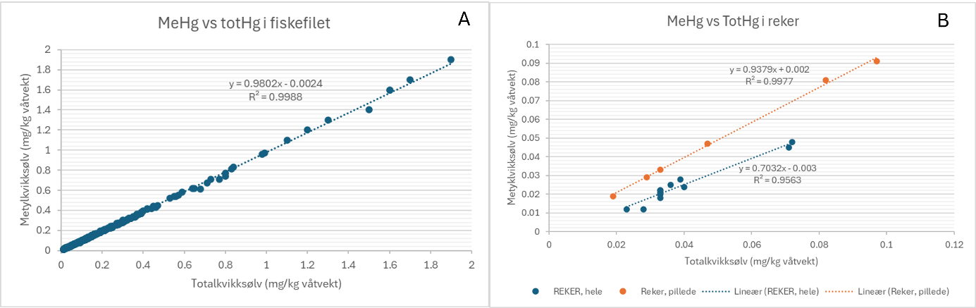 Korrelasjon mellom totalkvikksølv og metylkvikksølv i fisk og i reker