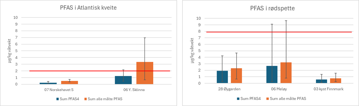 PFAS i kveite og rødspette