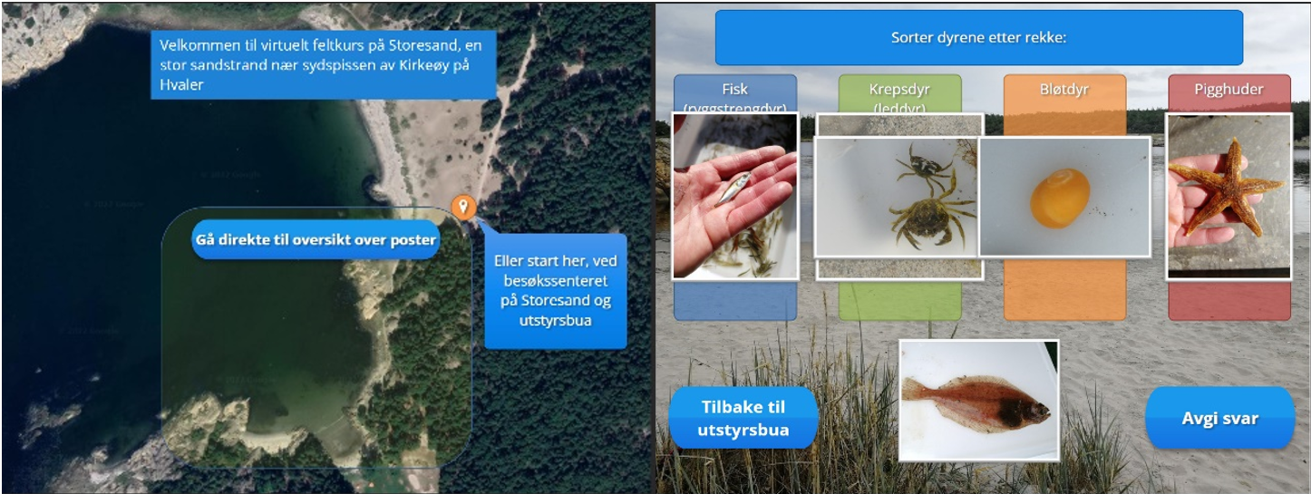 Skjermbildet viser flyfoto av Storesand på Hvaler, med klikkbare felter for videre informasjon og oppgaver til det digitale feltarbeidet