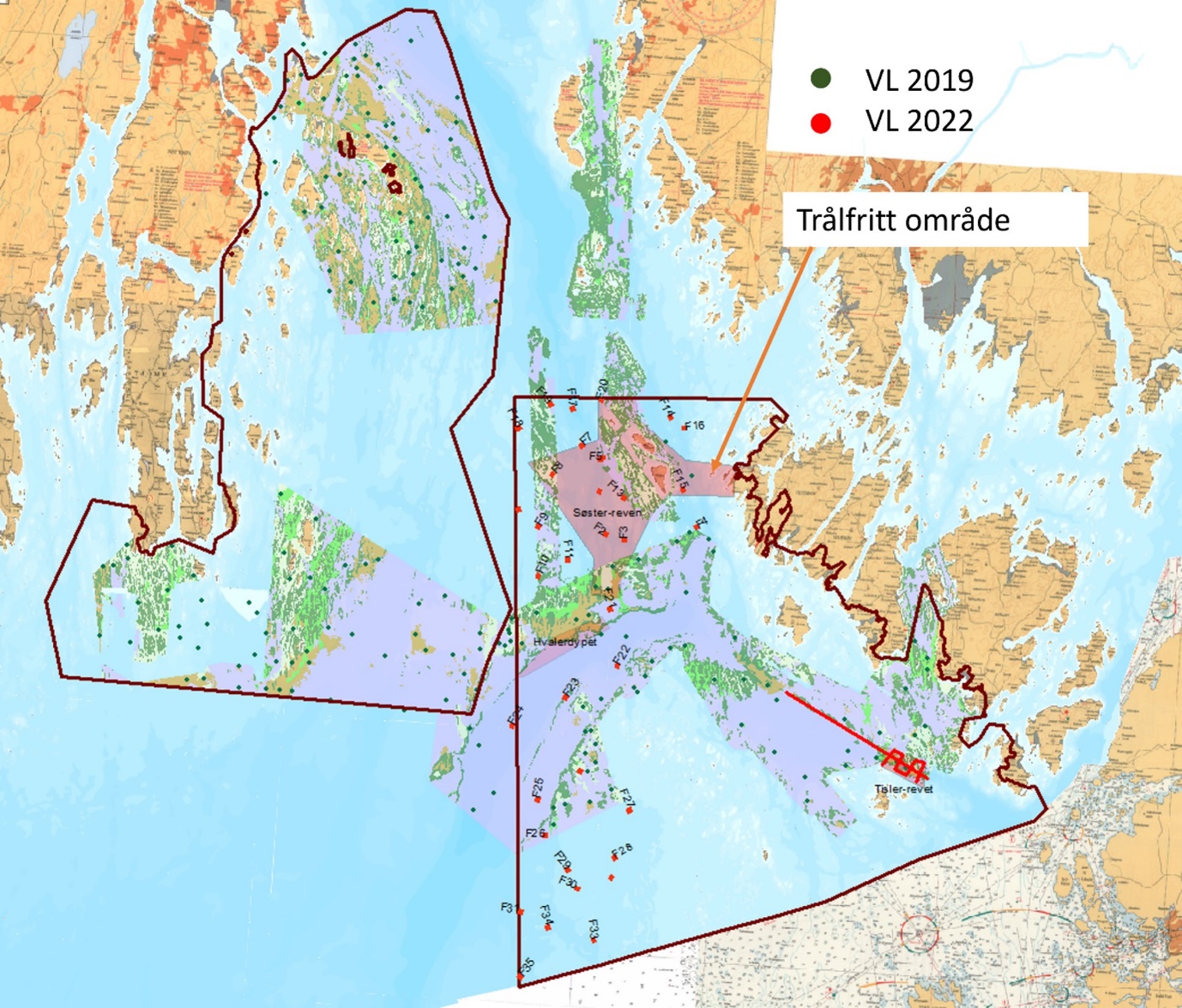 Figuren viser et kart over ytre Oslofjord. Undersøkte stasjoner er tegnet inn som punkter på kartet. bunnområdene har ulike fargekoder.