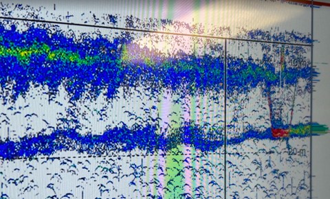 Figuren er et skjermbilde fra monitoren til ekkoloddet. På ekkogrammet ser man horisontale blå striper og felter som er planktonlag i ulike vannlag. Vertikale striper viser ekko fra planktonhoven samlet prøver av planktonet.   