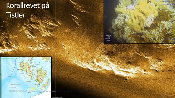 Figuren består av tre bilder som er satt sammen: et sonarbilde av korallrevet ved Tisler; et nærbilde av korallene; og et kart over Hvaler med markering av hvor Tisler-revet ligger