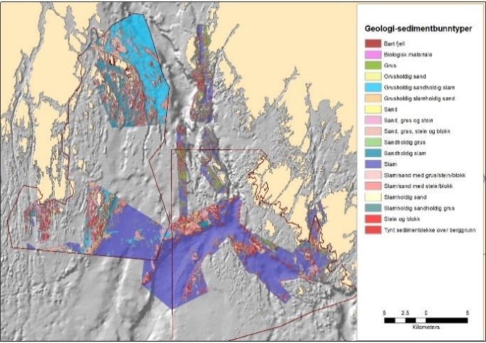Figuren viser et kart over ytre Oslofjord hvor de ulike sedimenttypene i bunnområdene har ulike fargekoder   