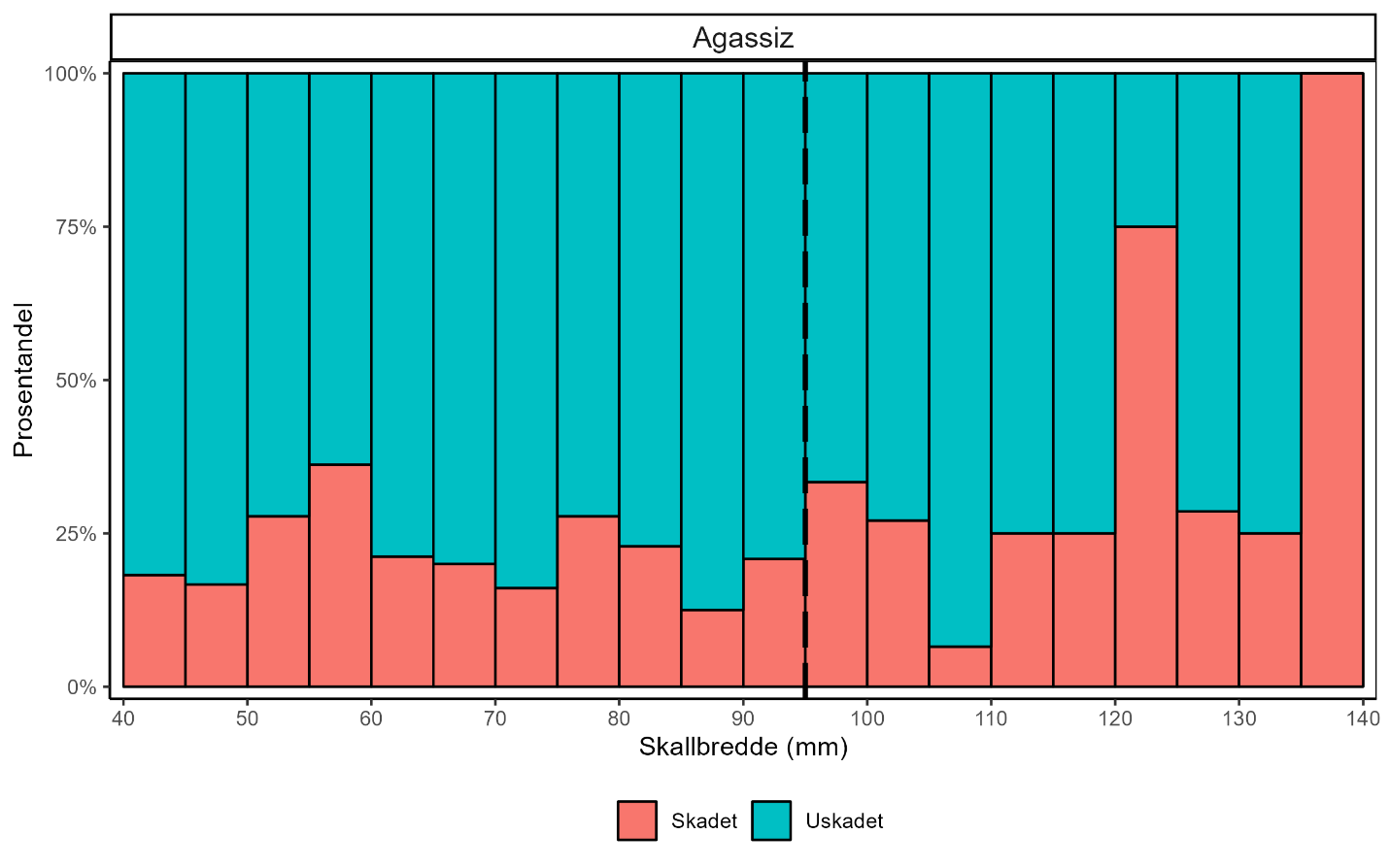 Figuren viser et stablet søylediagram med prosentvis fordeling av skadet (røde søyler) og uskadet (blå søyler) krabbe i Agazzis-trål. X-aksene angir skallbredde i mm og går fra 40 til 140 mm. En stiplet linje viser minstemålet på 95 mm. Y-aksen angir prosentandel og går fra 0 til 100 %. 