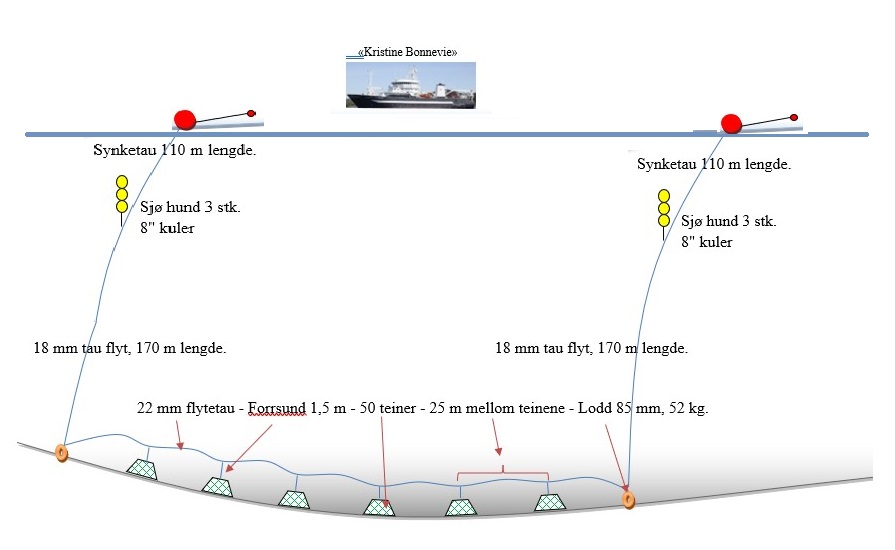 Skissen viser en lenge med seks teiner på bunnen med lodd i hver ende. I hver ende er det tau til overflaten, med trålkuler og overflatebøye. En blå linje øverst representerer overflaten og med et bilde av Kristine Bonnevie. Følgende informasjon er gitt i skissen: I begge ender av teinelenken (gitt fra overflaten ned til bunnen): Synketau 110 m lengde (festet til overflatebøye). Deretter «sjø-hund» 3 stykk 8’’ kuler (trålkuler) festet til 18 mm flytetau 170 m lengde ned til bunnen, festet i lodd (85 mm, 52 kg). I selve teinelenken: 22 mm flytetau, Forrsund 1,5 m, 50 teiner, 25 m mellom teinene.