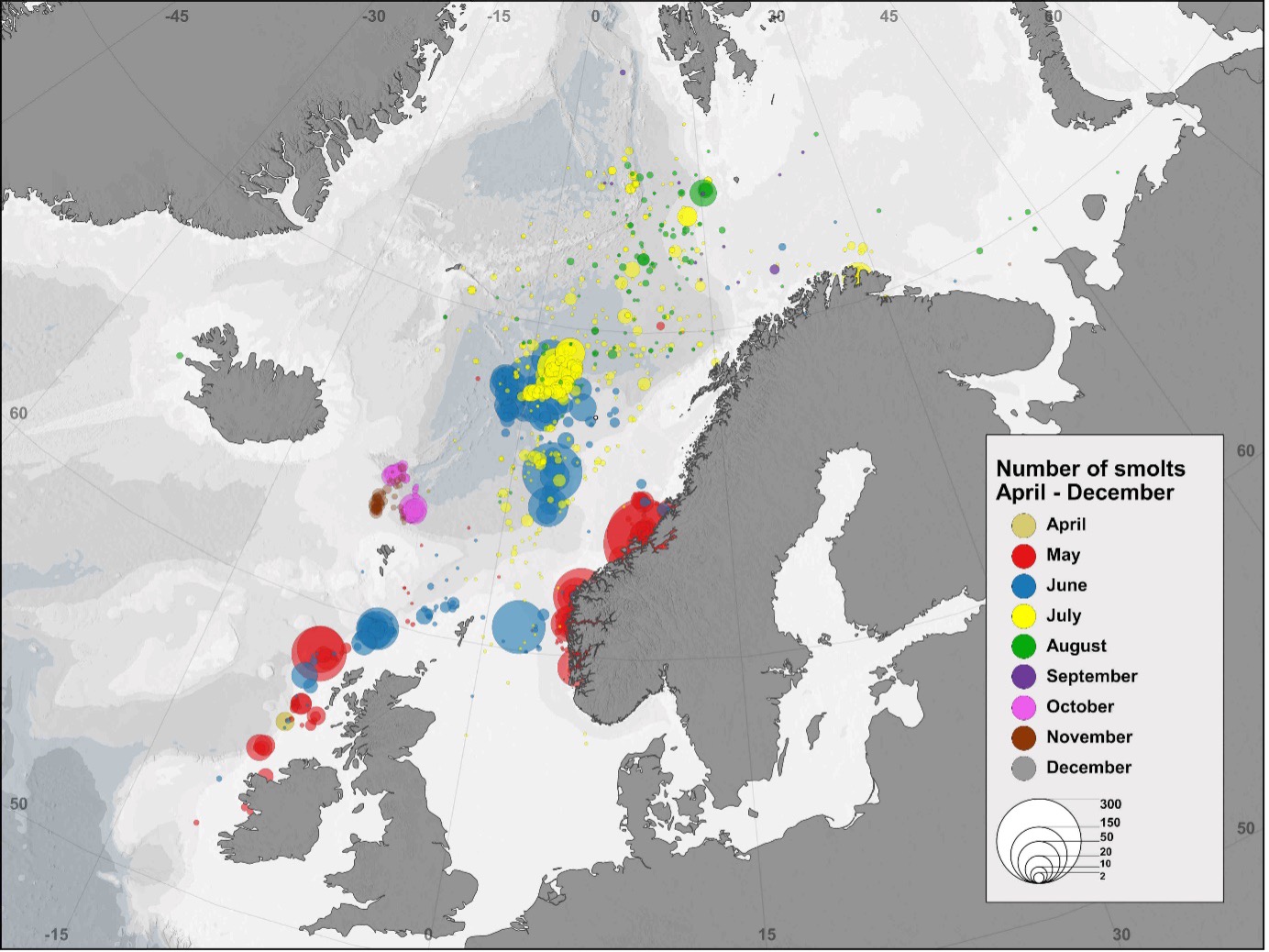 Kart over Nord-Atlanteren som viser fangster av postsmolt i ulike måneder gjennom mange år.