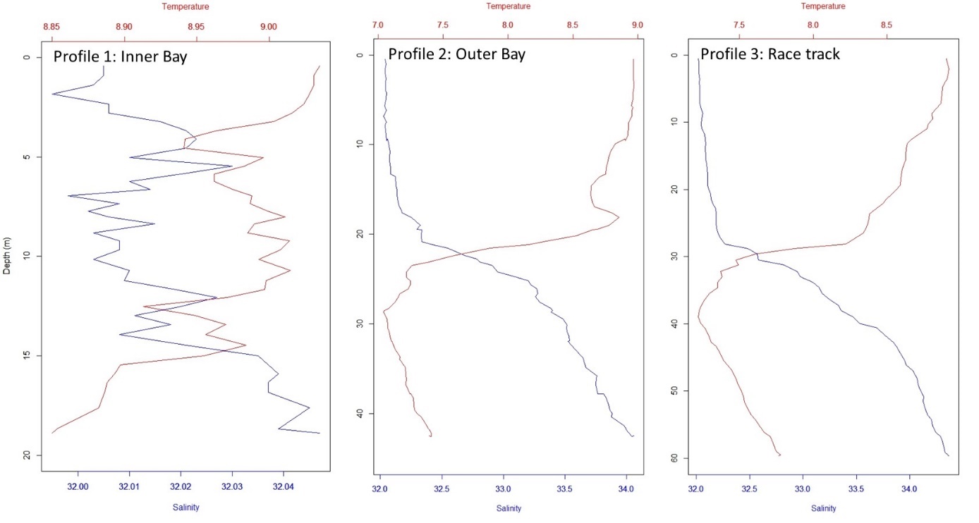 Figure 15. CTD profiles from the 3 casts showing salinity (blue curves) and temperature (red curves) as a function of depth. 