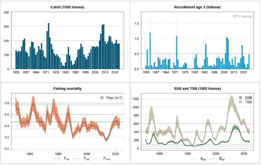 Different graphs showing catch history, stock history, recruitment history and fishing mortality.