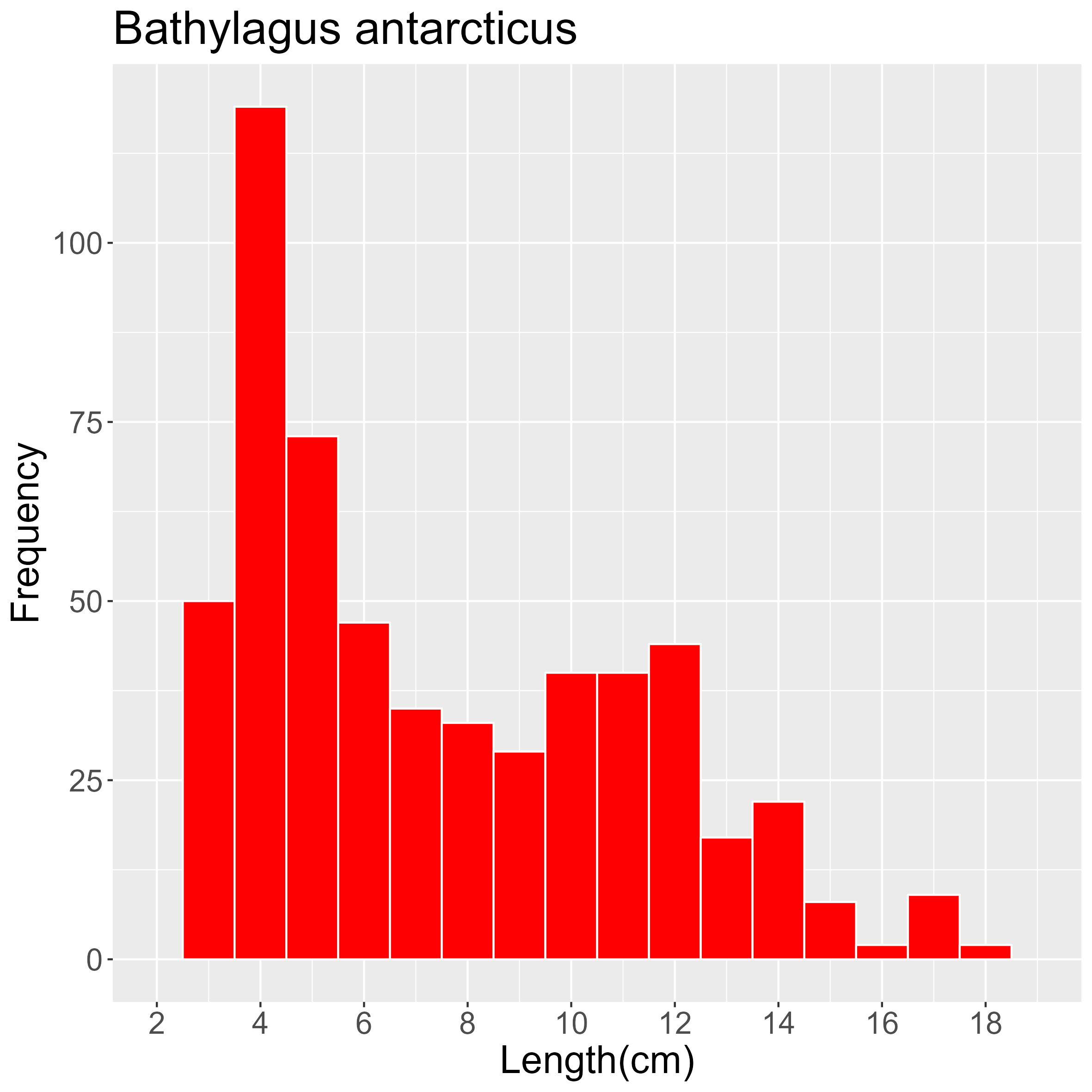 Figure 6.  Length frequency of Bathylagus antarcticus for all trawl stations combined. Frequency shown as number of individuals.