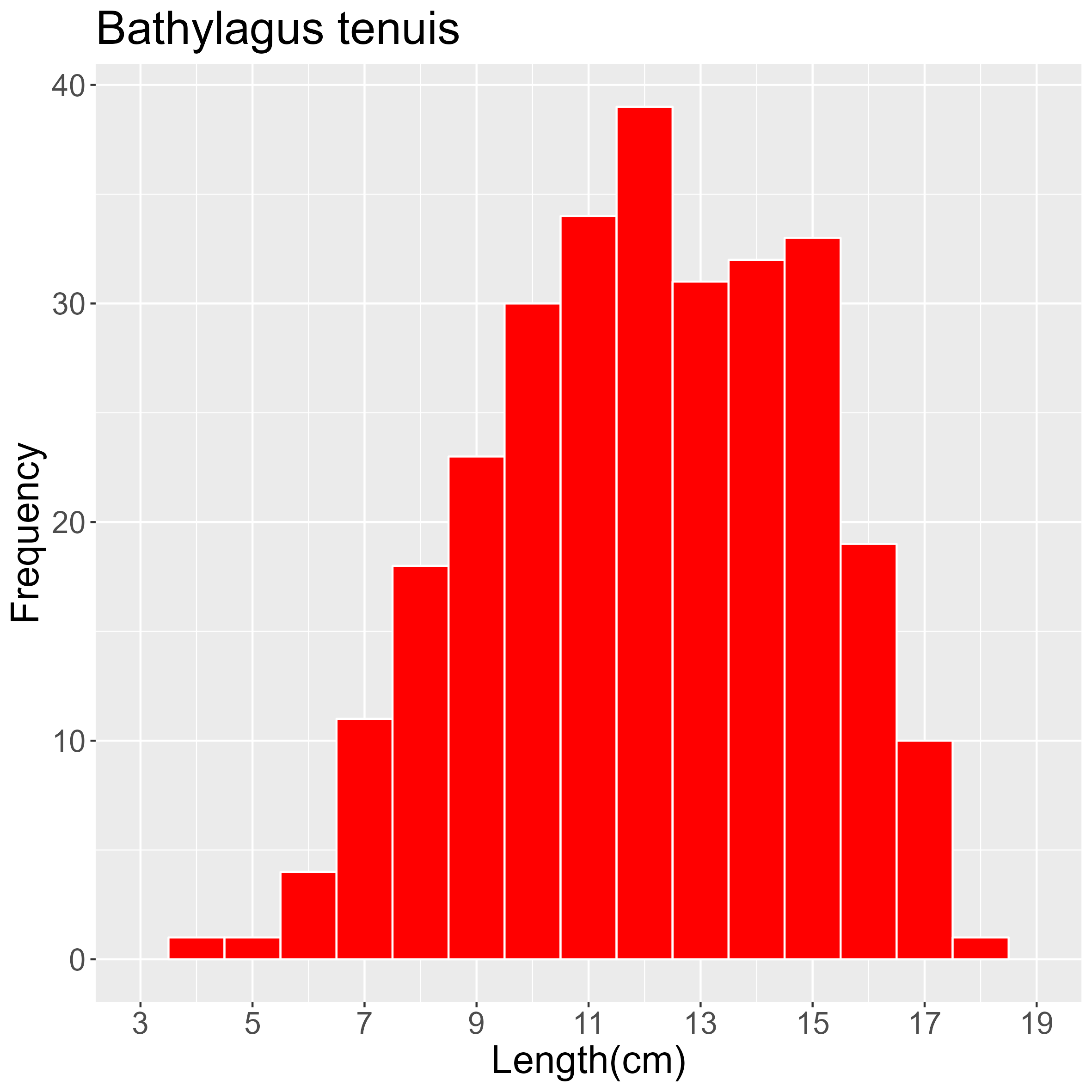 Figure 8. Length frequency of Bathylagus tenuis for all trawl stations combined. Frequency shown as number of individuals.