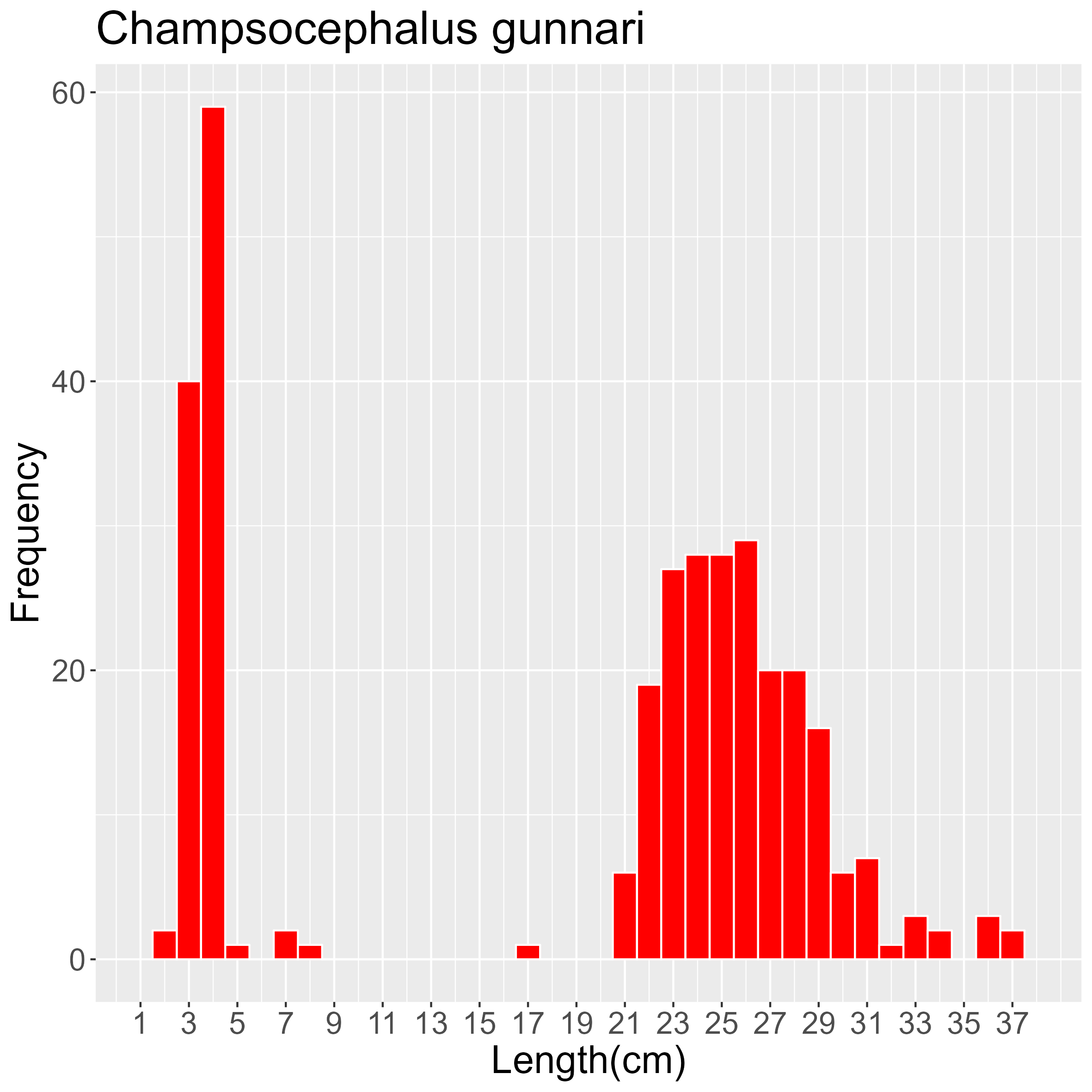 Figure 90. Length frequency of Champsocephalus gunnari for all trawl stations combined. Frequency shown as number of individuals.