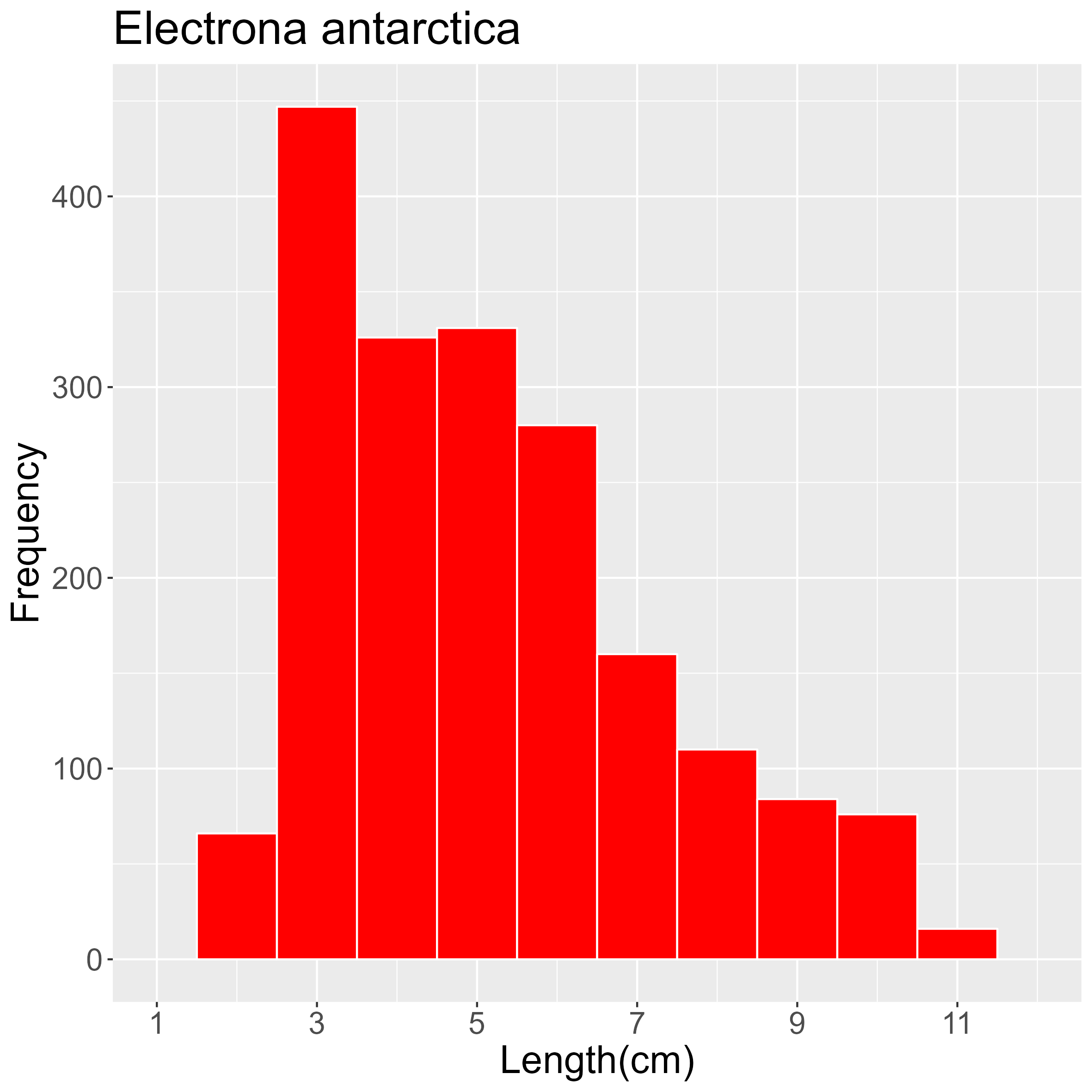 Figure 31. Length frequency of Electrona antarctica for all trawl stations combined. Frequency shown as number of individuals.