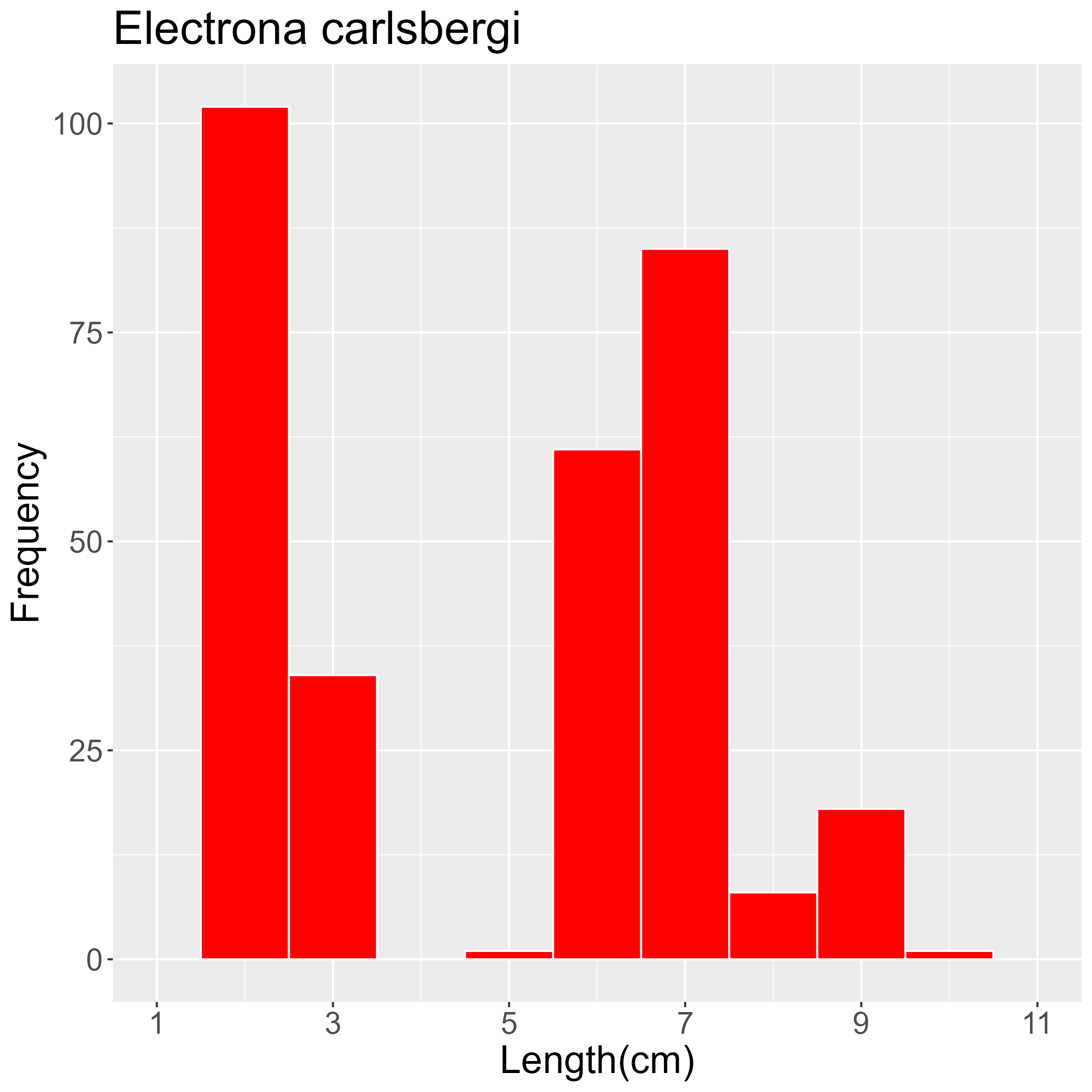 Figure 33. Length frequency of Electrona carlsbergi for all trawl stations combined. Frequency shown as number of individuals.