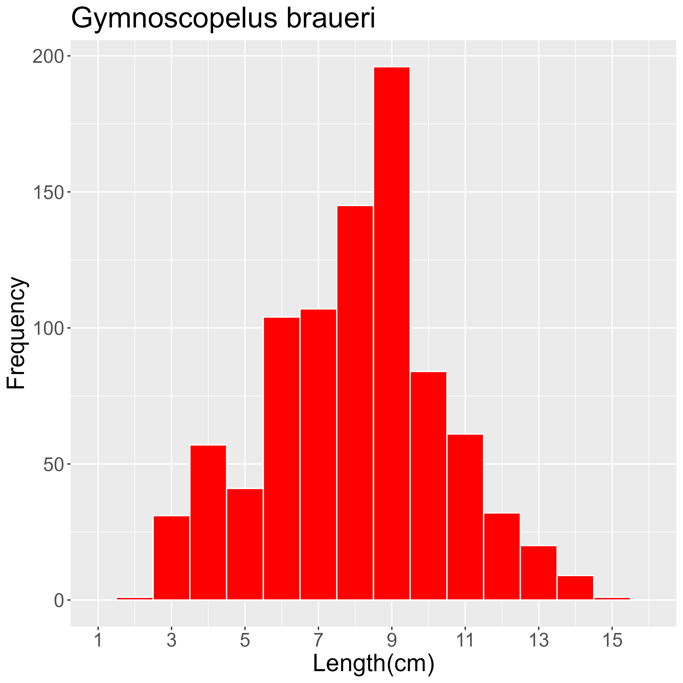 Figure 39. Length frequency of Gymnoscopelus braueri for all trawl stations combined. Frequency shown as number of individuals.