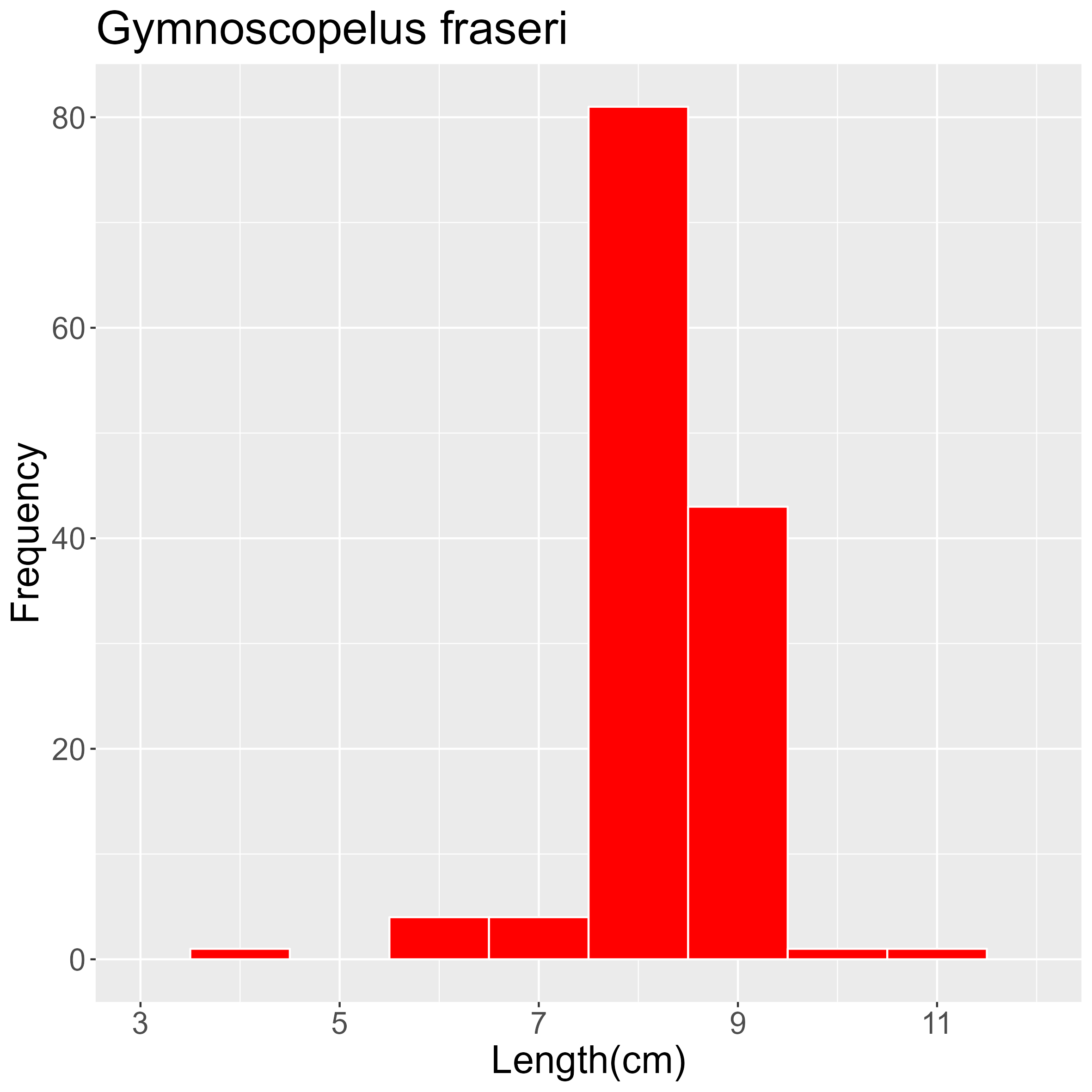 Figure 41. Length frequency of Gymnoscopelus fraseri for all trawl stations combined. Frequency shown as number of individuals.