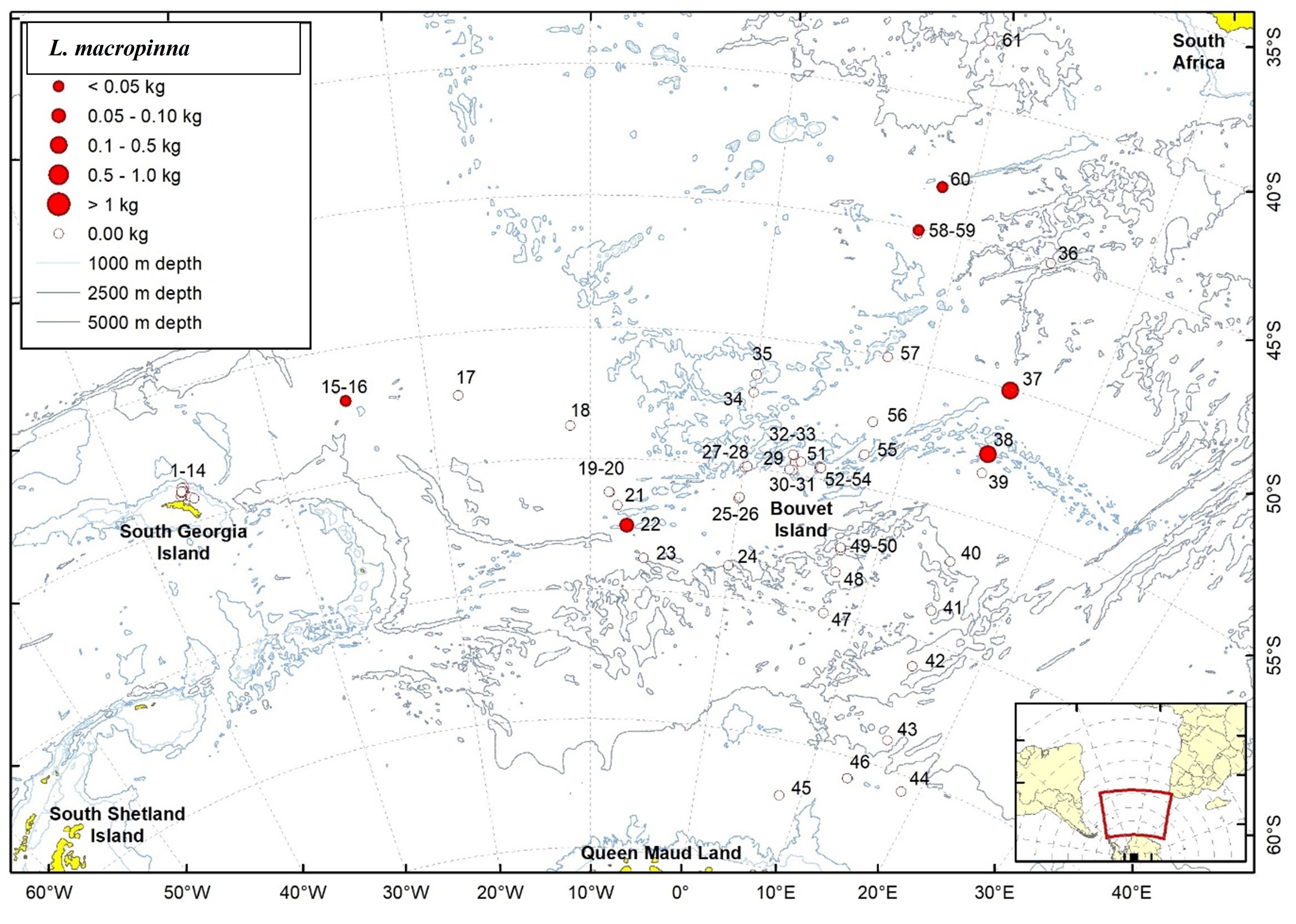 Figure 21b. Trawl stations with presence of Lagiacrusichthys macropinna in the catch (red circles) and trawl stations with no identified presence (empty circles).