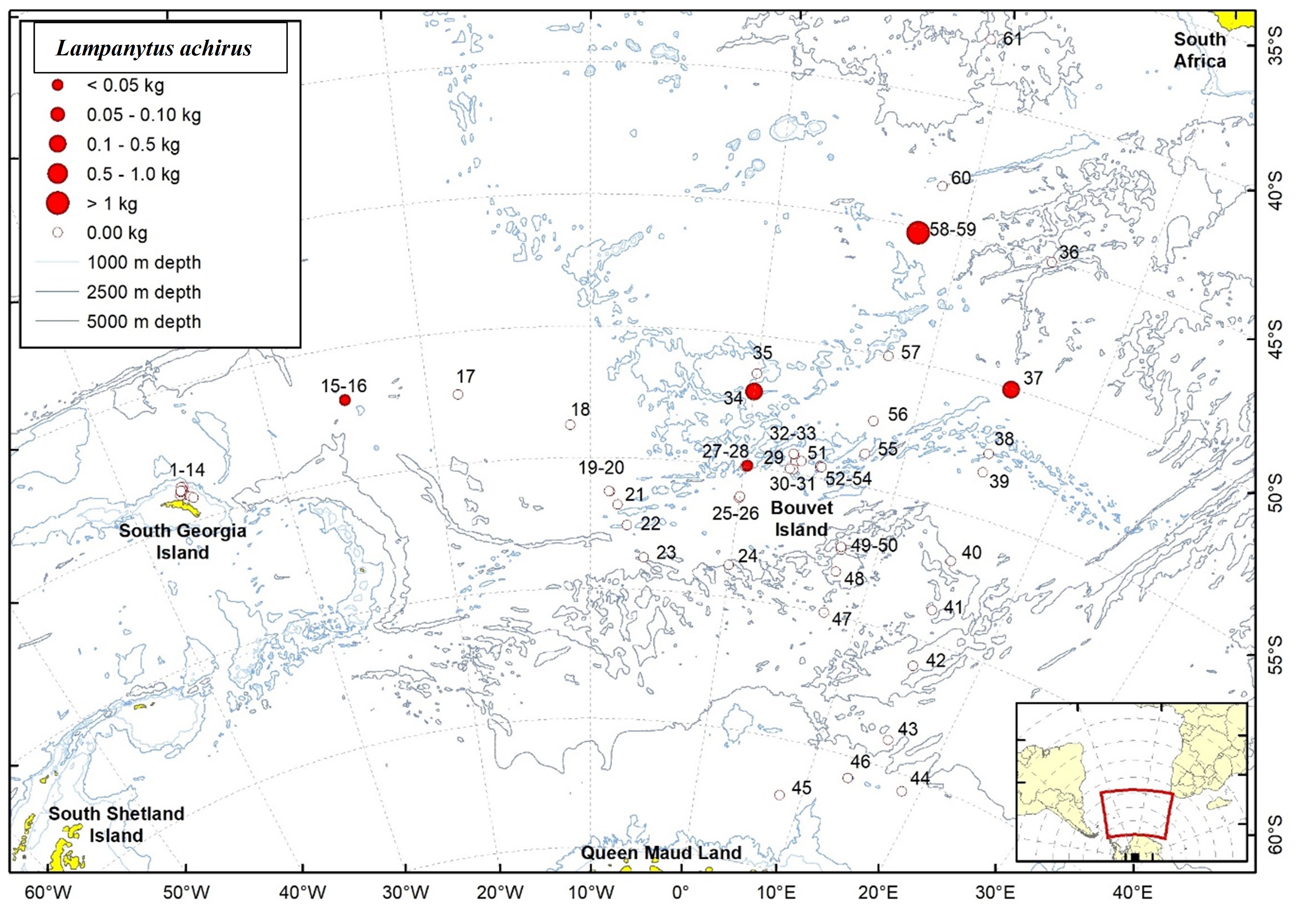 Figure 51b. Trawl stations with presence of Lampanyctus achirus in the catch (red circles) and trawl stations with no identified presence (empty circles). 