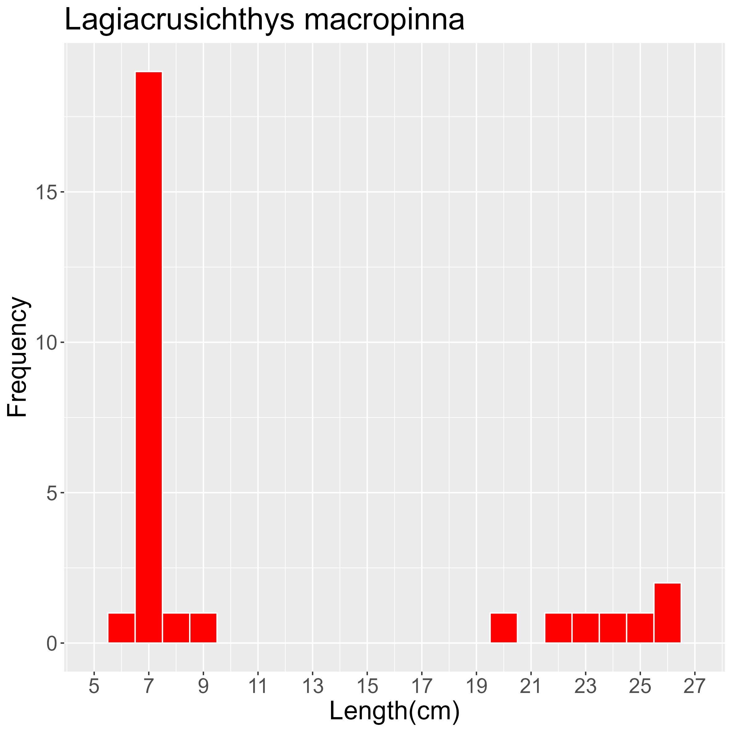 Figure 22. Length frequency of Lagiacrusichthys macropinna for all trawl stations combined. Frequency shown as number of individuals.