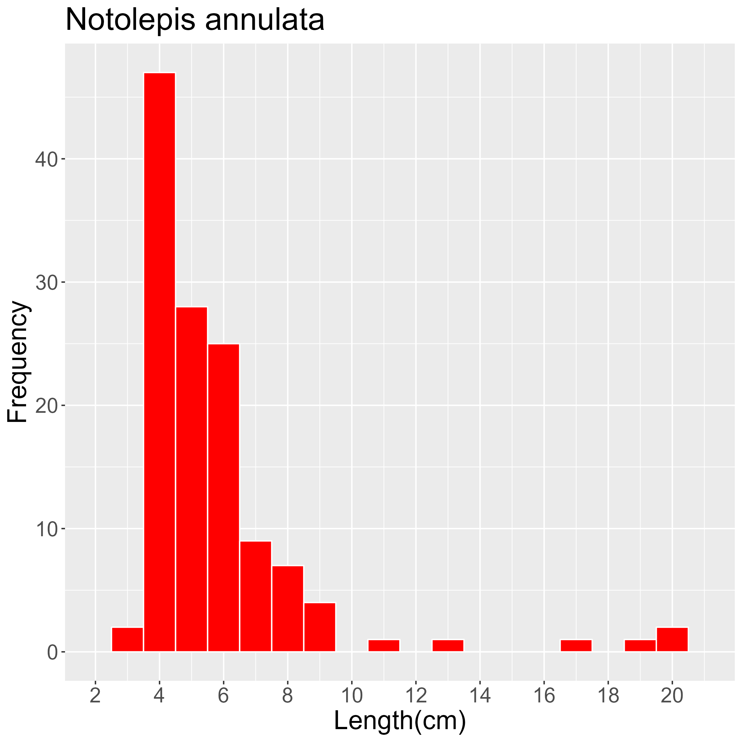 Figure 25. Length frequency of Notolepis annulata for all trawl stations combined. Frequency shown as number of individuals