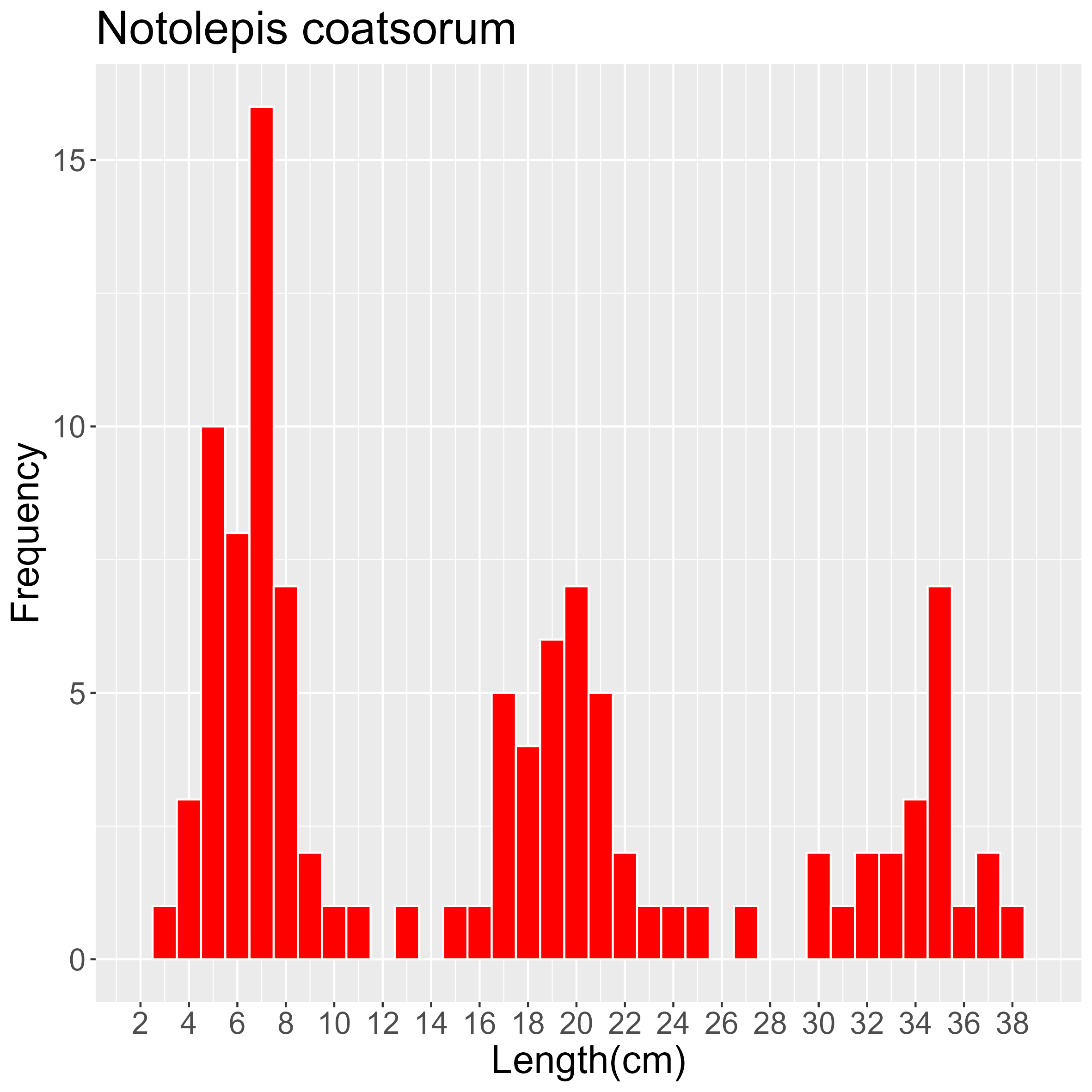 Figure 27. Length frequency of Notolepis coatsorum for all trawl stations combined. Frequency shown as number of individuals.