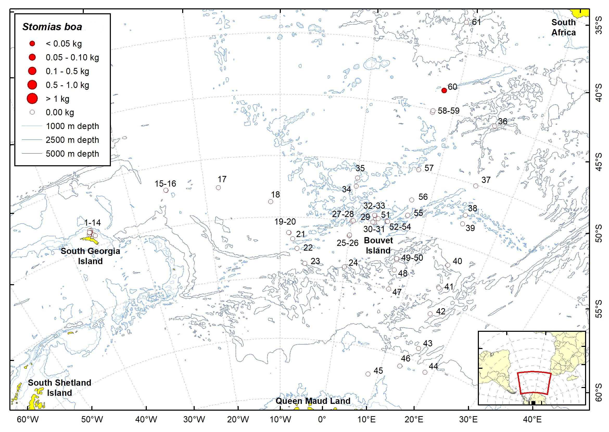 Figure 18b.Trawl stations with presence of Stomias boa in the catch (red circles) and trawl stations with no identified presence (empty circles).