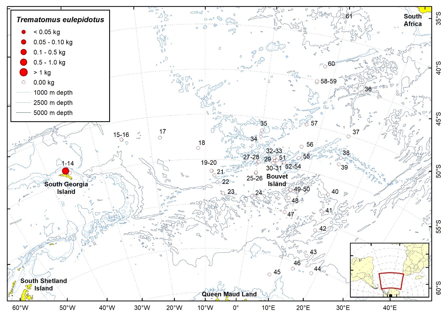 Figure 86b. Trawl stations with presence of Trematomus eulepidotus in the catch (red circles) and trawl stations with no identified presence (empty circles).