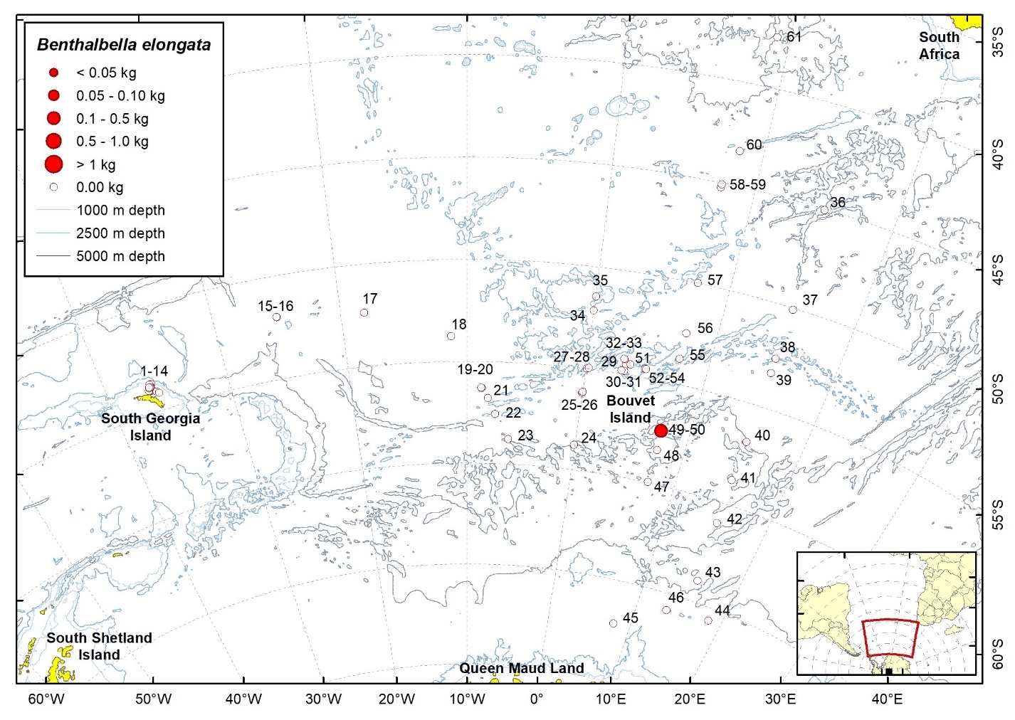 Figure 20b. Trawl stations with presence of Benthalbella elongata in the catch (red circles) and trawl stations with no identified presence (empty circles).