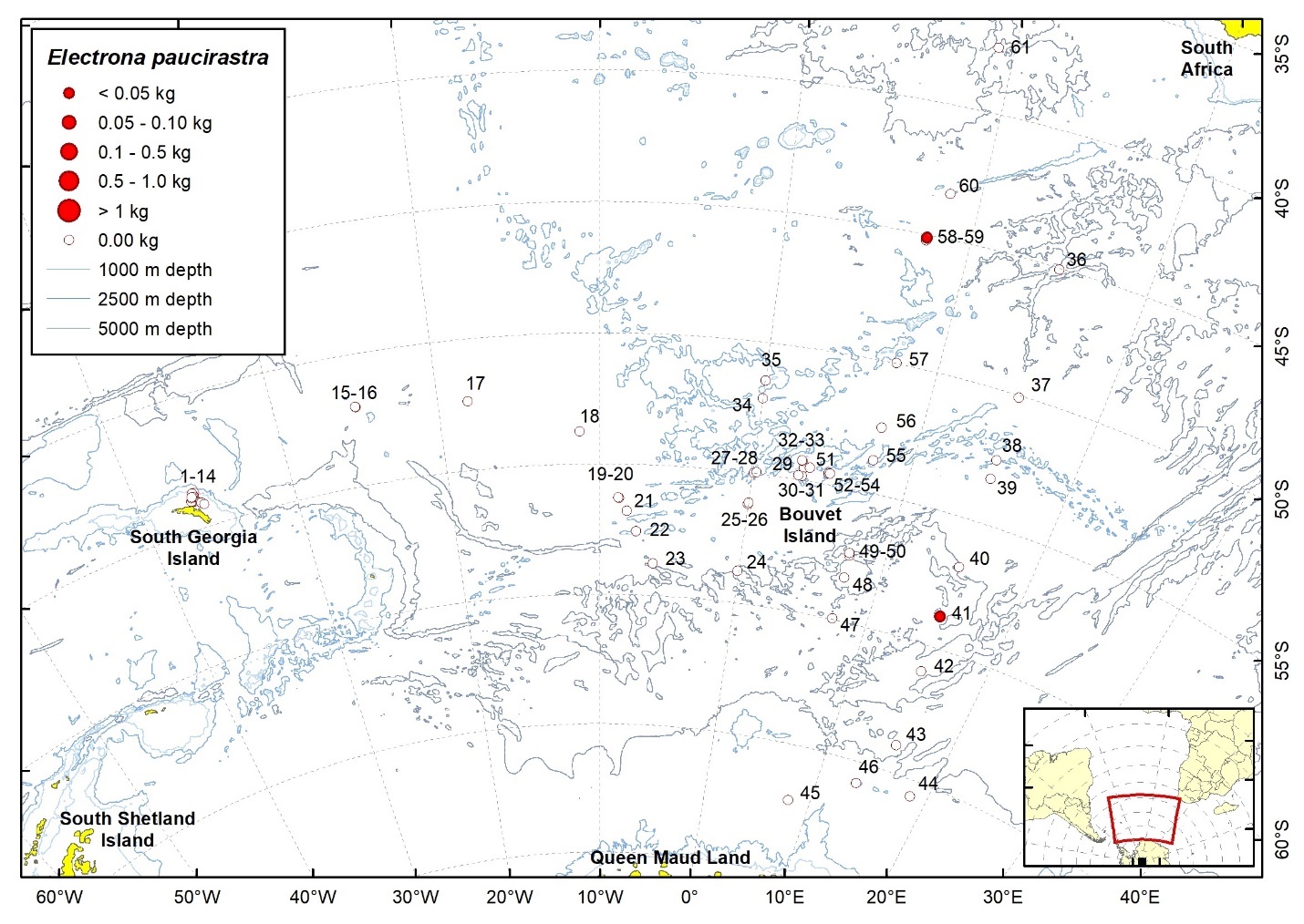 Figure 34b. Trawl stations with presence of Electrona paucirastra in the catch (red circles) and trawl stations with no identified presence (empty circles).