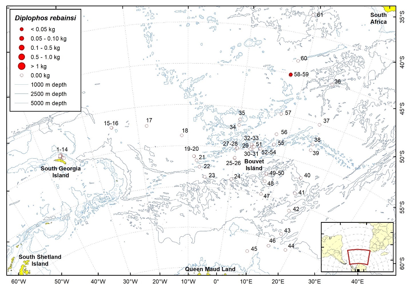 Figure 10b. Trawl stations with presence of Diplophos rebainsi in the catch (red circles) and trawl stations with no identified presence (empty circles).