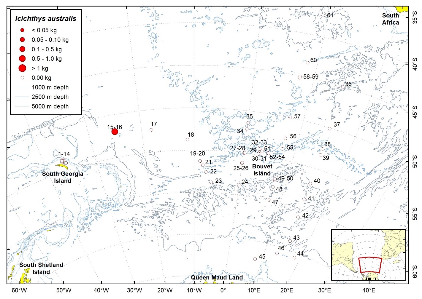 Figure 79b. Trawl stations with presence of Pseudoicichthys australis in the catch (red circles) and trawl stations with no identified presence (empty circles).