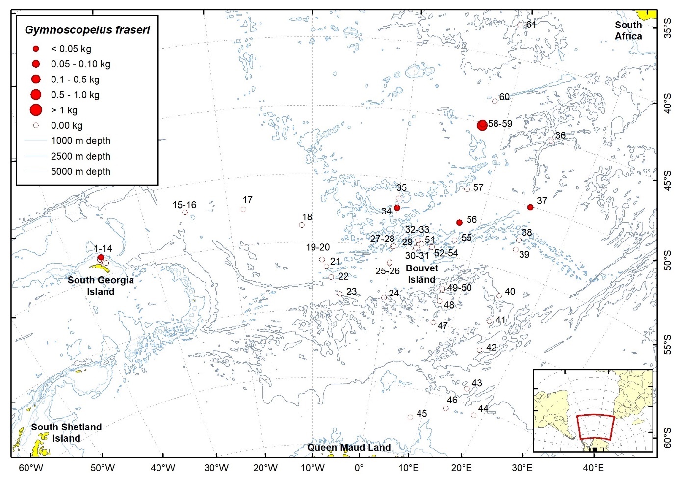 Trawl stations with presence of Gymnoscopelus fraseri in the catch (red circles) and trawl stations with no identified presence (empty circles).