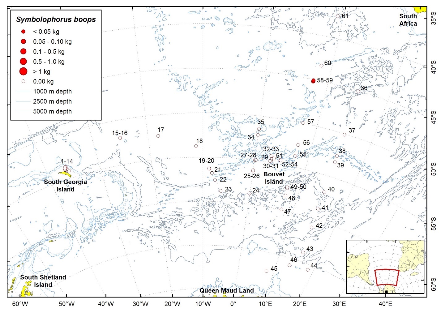 Figure 69b. Trawl stations with presence of Symbolophorus boops in the catch (red circles) and trawl stations with no identified presence (empty circles).