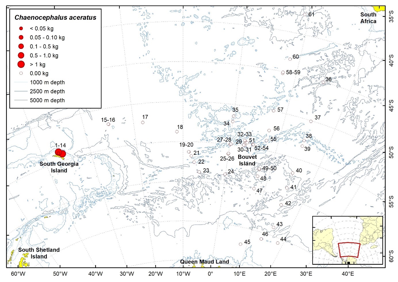 Figure 88d. Trawl stations with presence of Chaenocephalus aceratus in the catch (red circles) and trawl stations with no identified presence (empty circles).