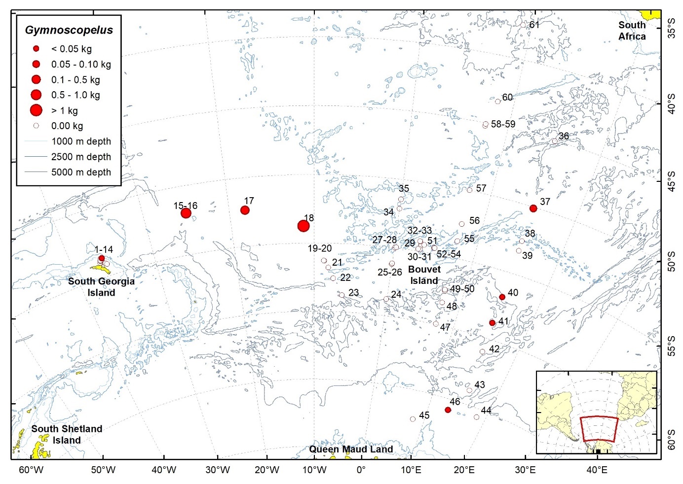 Figure 47. Trawl stations with presence of Gymnoscopelus spp. in the catch (red circles) and trawl stations with no identified presence (empty circles).