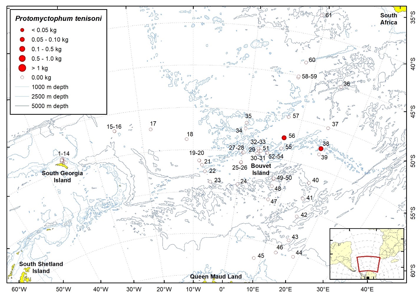 Figure 67b. Trawl stations with presence of Protomyctophum tenisoni in the catch (red circles) and trawl stations with no identified presence (empty circles).