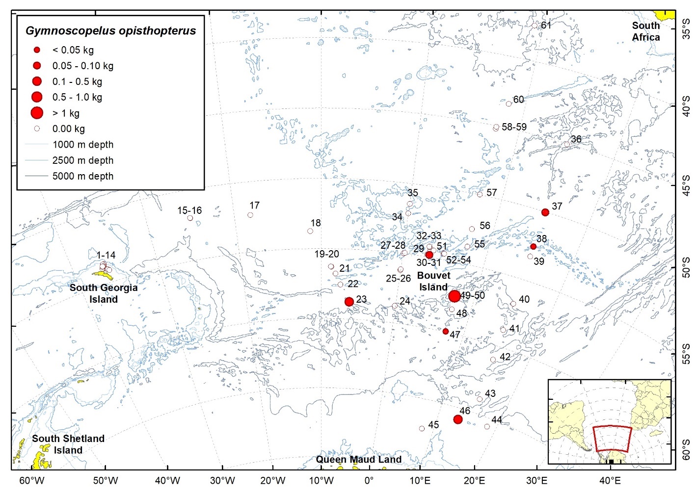 Figure 45b. Trawl stations with presence of Gymnoscopelus opisthopterus in the catch (red circles) and trawl stations with no identified presence (empty circles).