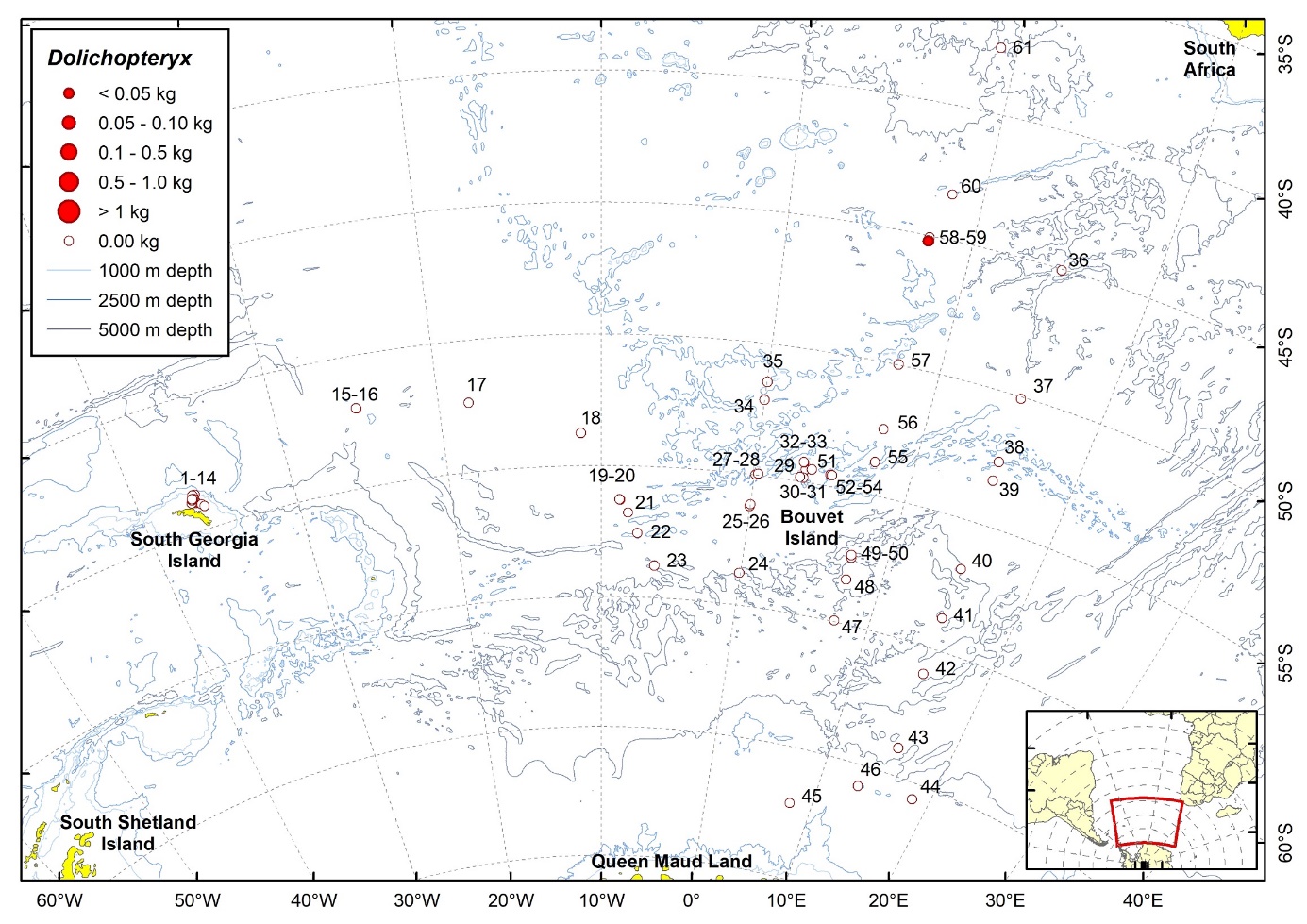 Trawl stations with presence of Dolichopteryx sp. in the catch (red circles) and trawl stations with no identified presence (empty circles).