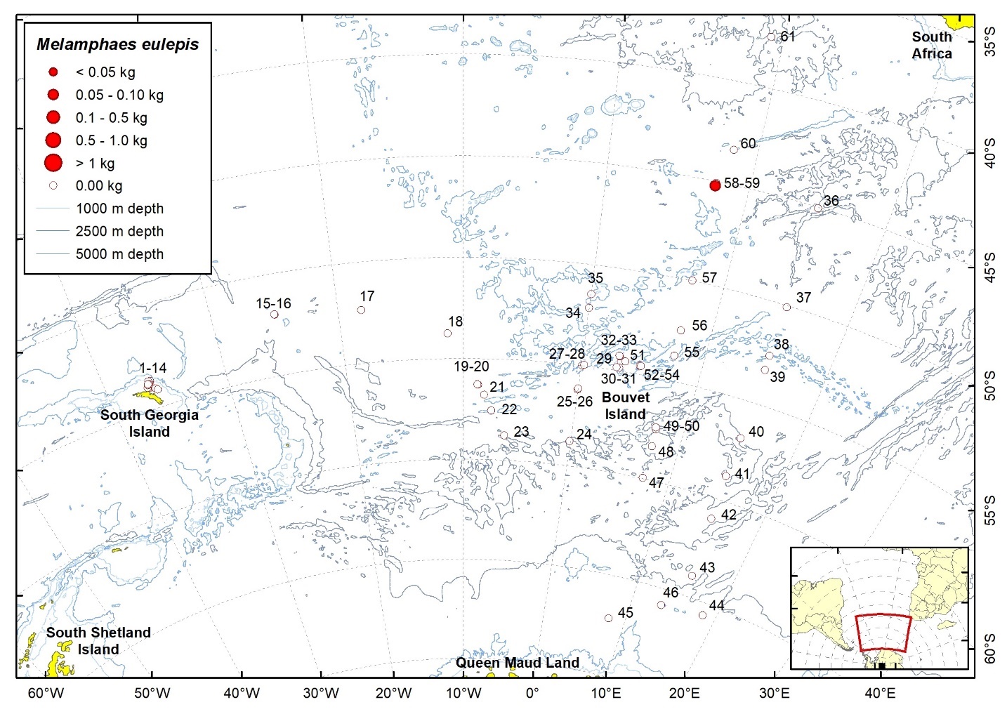 Figure 72b. Trawl stations with presence of Melamphaes eulepis in the catch (red circles) and trawl stations with no identified presence (empty circles).