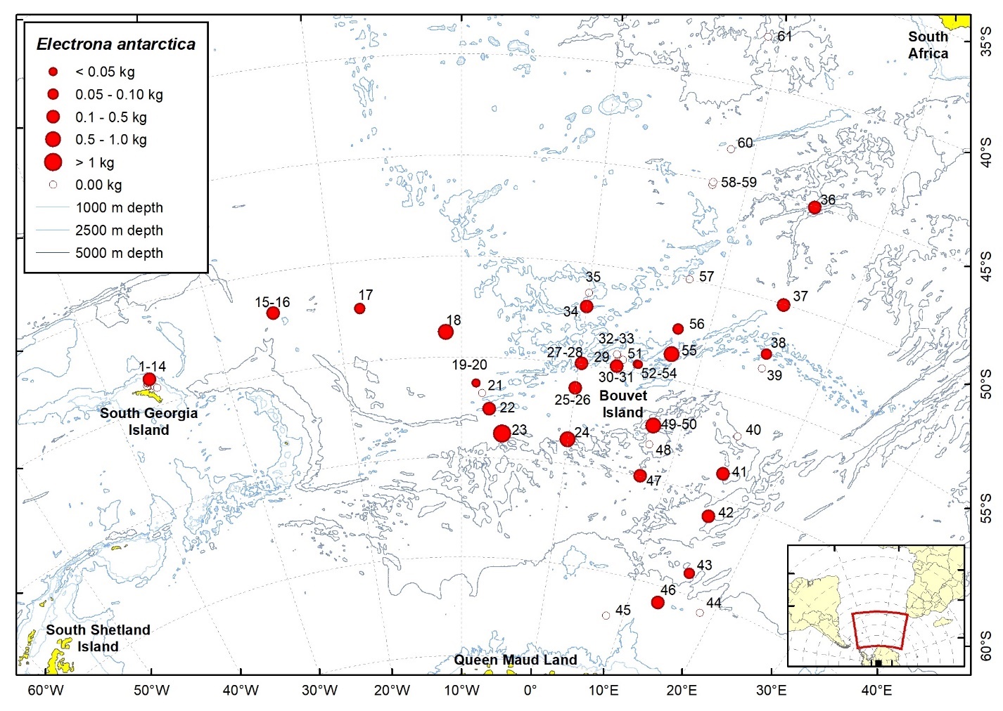 Figure 30b. Trawl stations with presence of Electrona antarctica in the catch (red circles) and trawl stations with no identified presence (empty circles).