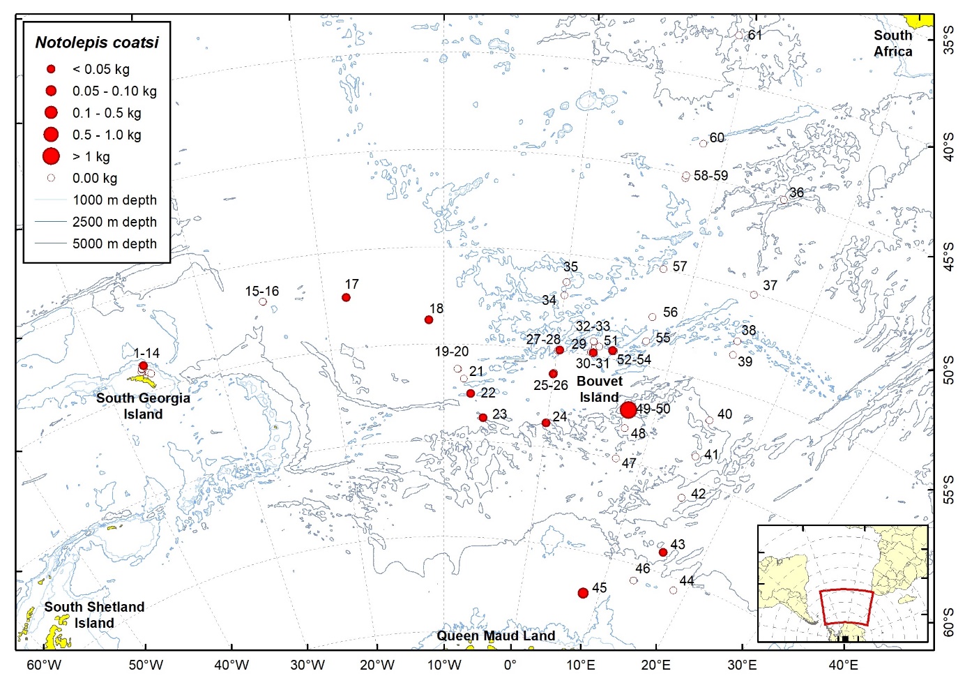 Figure 26b. Trawl stations with presence of Notolepis coatsorum in the catch (red circles) and trawl stations with no identified presence (empty circles).