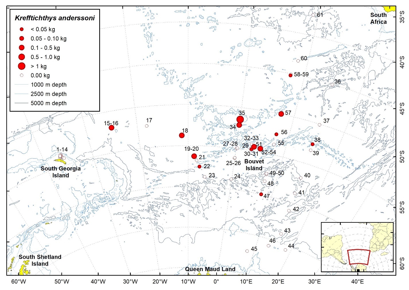 Figure 49b. Trawl stations with presence of Krefftichthys anderssoni in the catch (red circles) and trawl stations with no identified presence (empty circles).