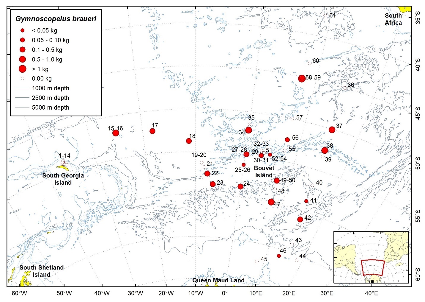 Figure 38a. Trawl stations with presence of Gymnoscopelus braueri in the catch (red circles) and trawl stations with no identified presence (empty circles).