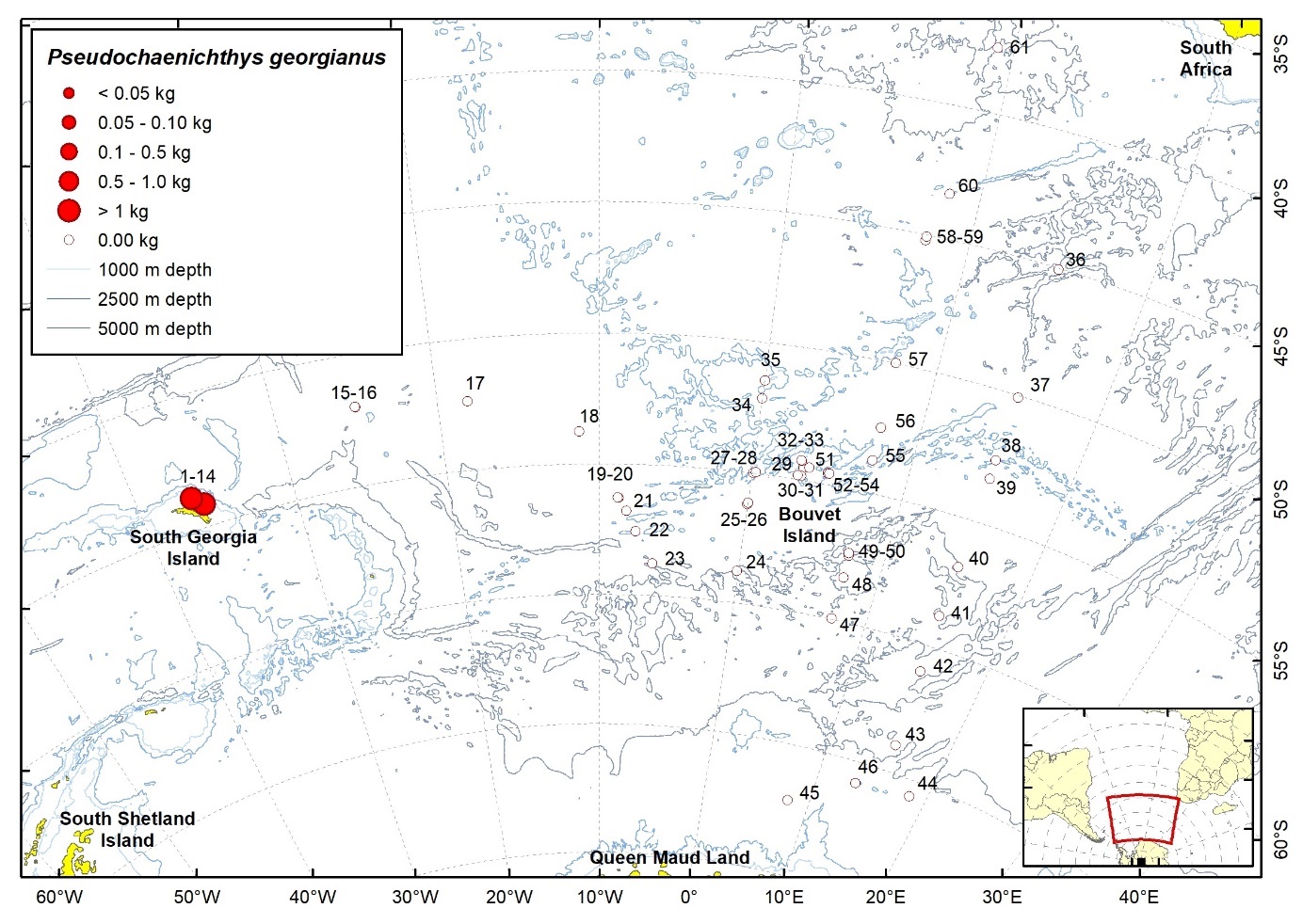 Figure 92b. Trawl stations with presence of Pseudochaenichthys georgianus in the catch (red circles) and trawl stations with no identified presence (empty circles).