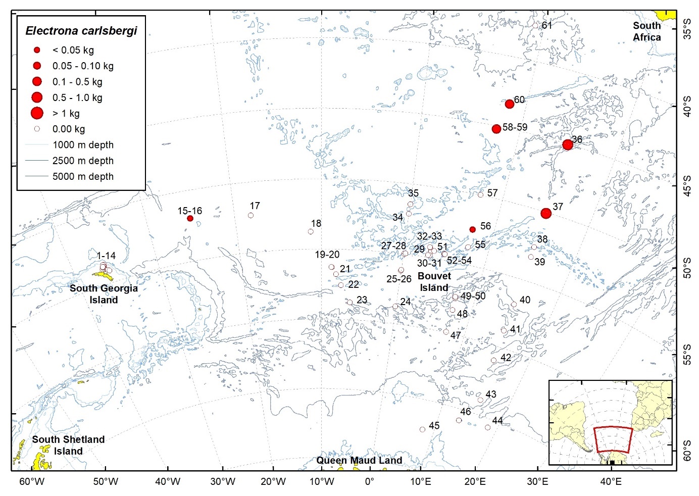 Figure 32b. Trawl stations with presence of Electrona carlsbergi in the catch (red circles) and trawl stations with no identified presence (empty circles).