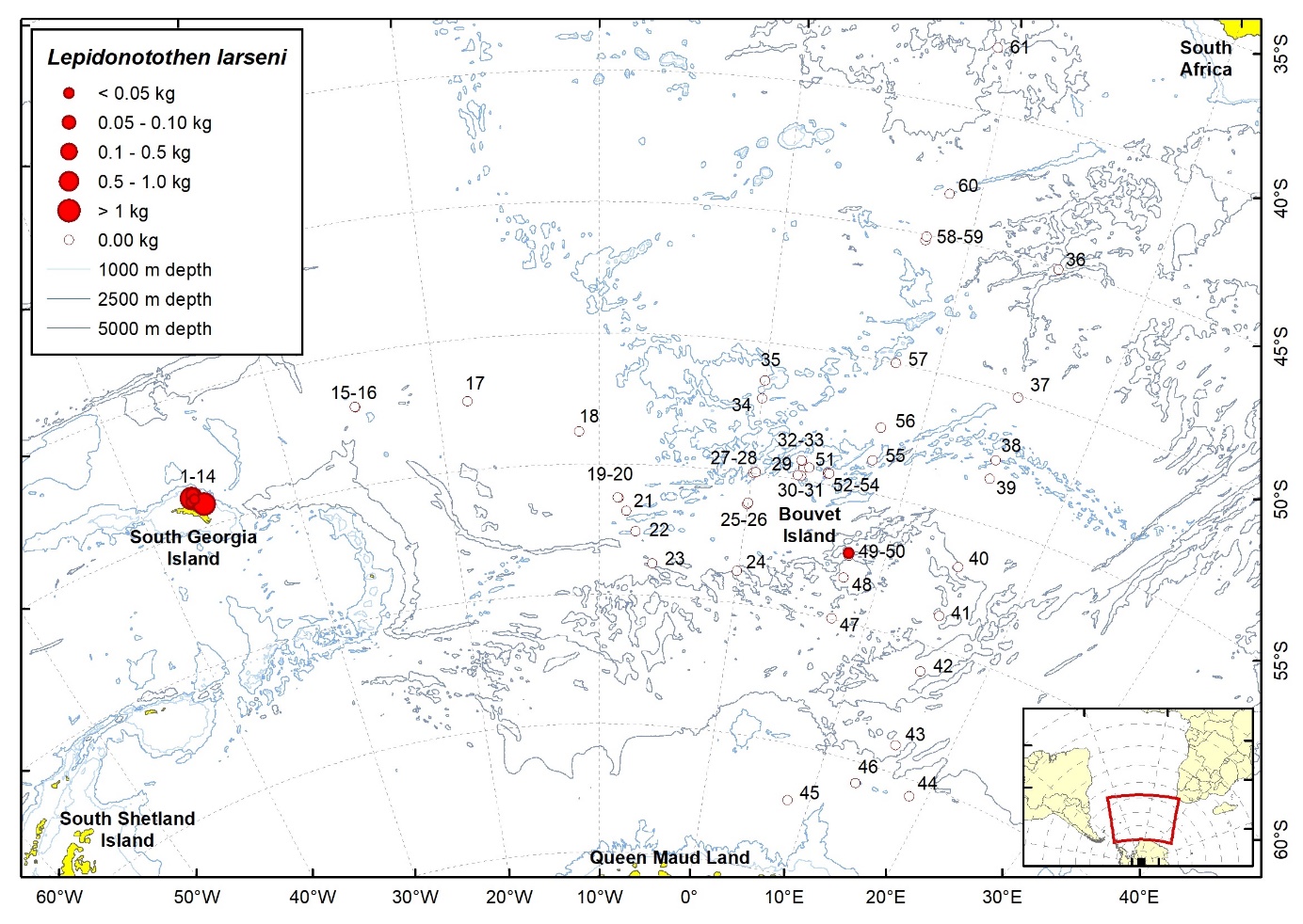 Figure 84b. Trawl stations with presence of Nototheniops larseni in the catch (red circles) and trawl stations with no identified presence (empty circles).